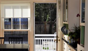 Single Door Screen
